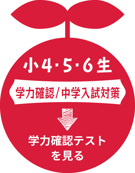 小4・5・6生【学力確認/中学入試対策】学力確認テストを見る